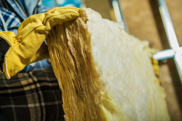 Best Specialized Insulation Services in Centerville, IN